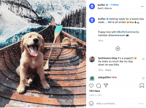 buffer social media post using user generated content